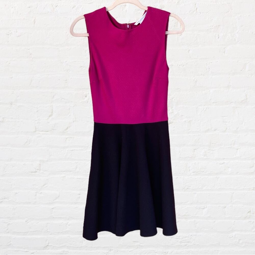 Diane Von Furstenberg fit and flare dress